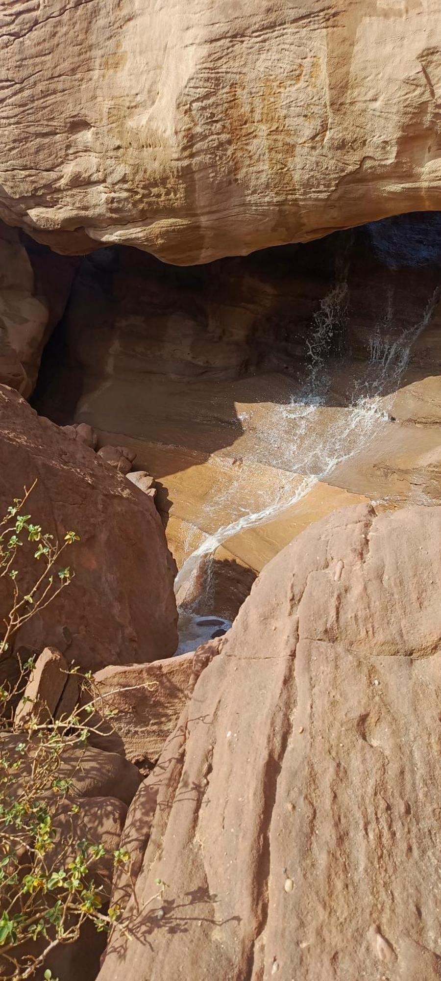 Wadi Rum Aviva Camp Bagian luar foto